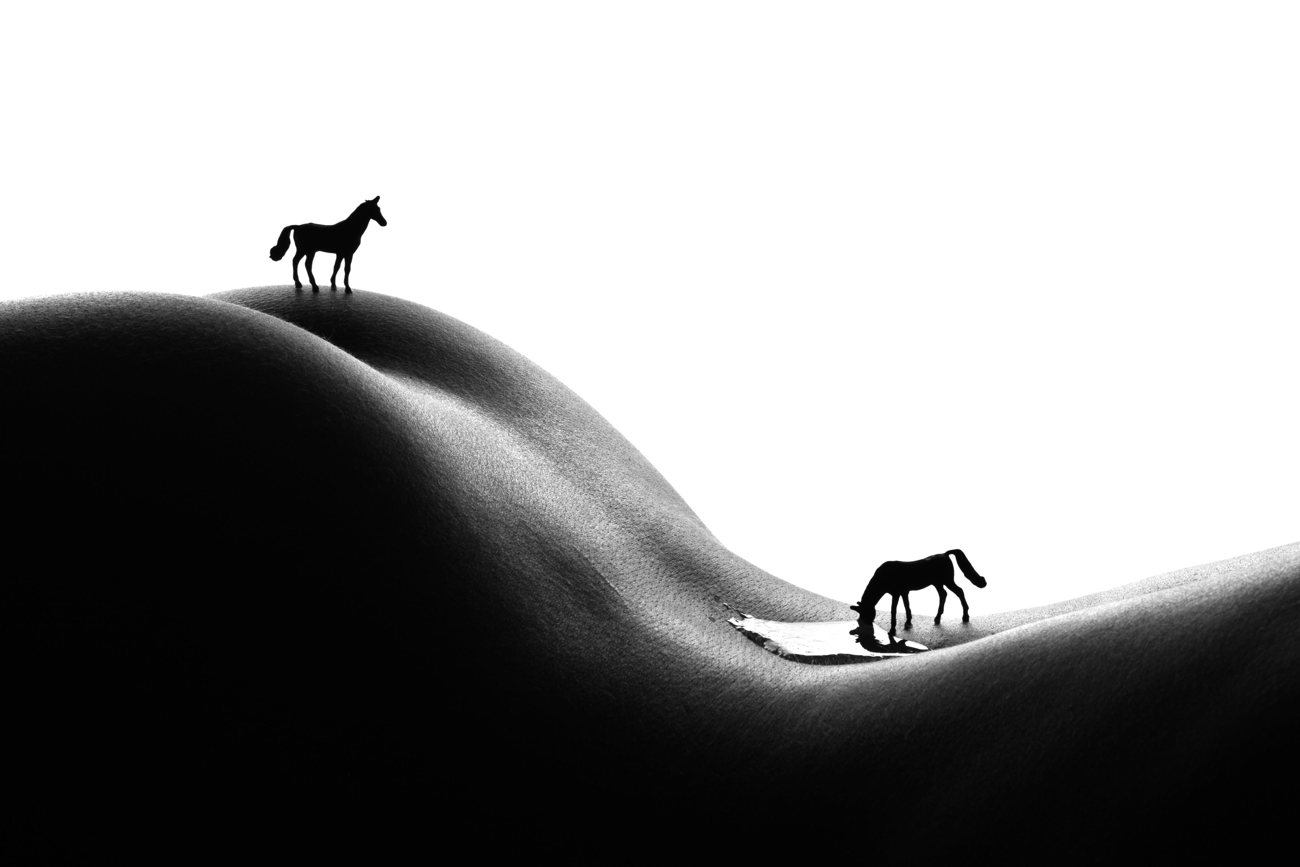 Allan I. Teger Black and White Photograph - Two horses - black and white photography