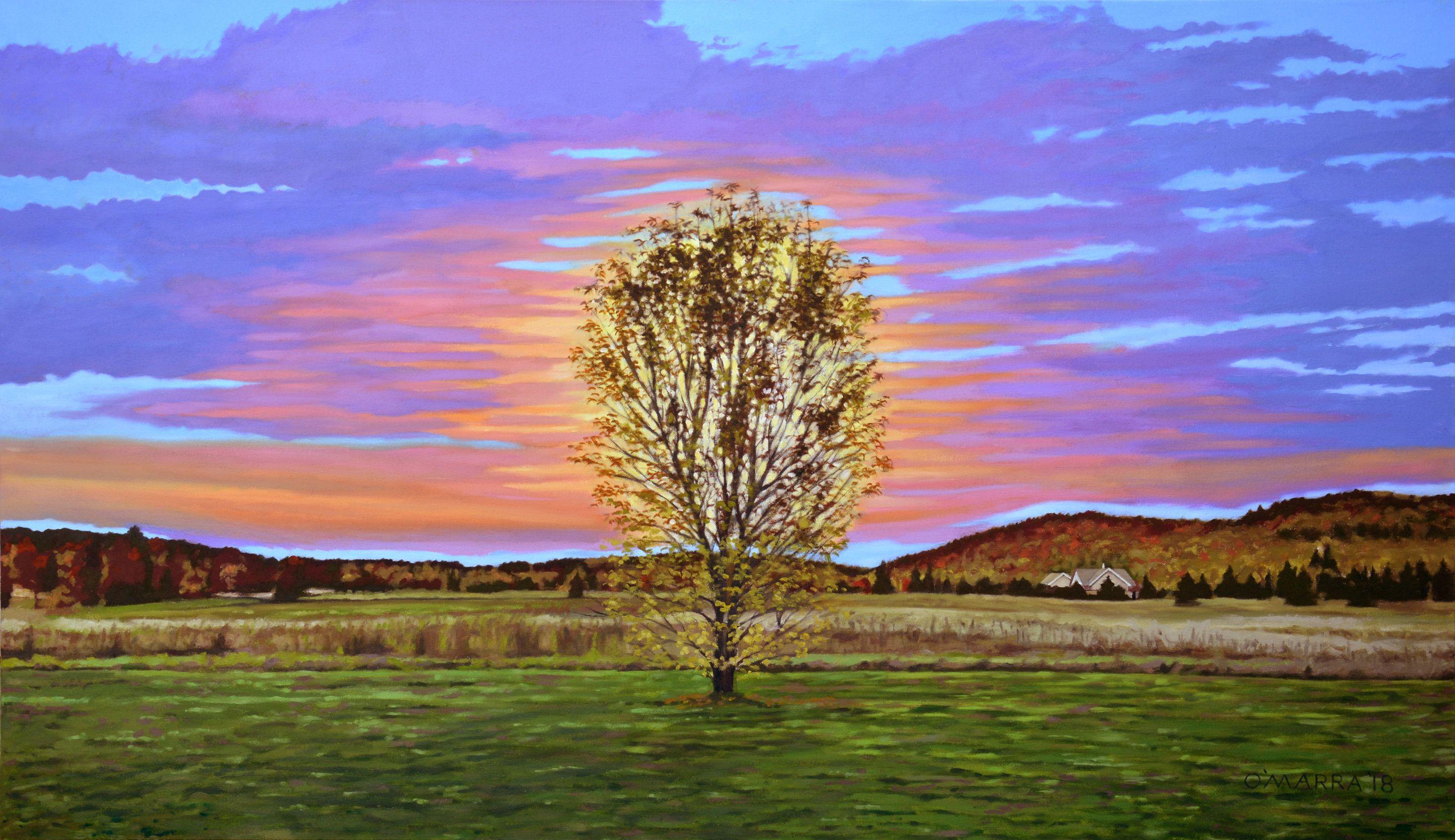 A sunset reflecting off the clouds to the east of my place causing the tree to glow :: Painting :: Realism :: This piece comes with an official certificate of authenticity signed by the artist :: Ready to Hang: Yes :: Signed: Yes :: Signature