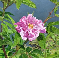 Wild Rose, Painting, Oil on Canvas