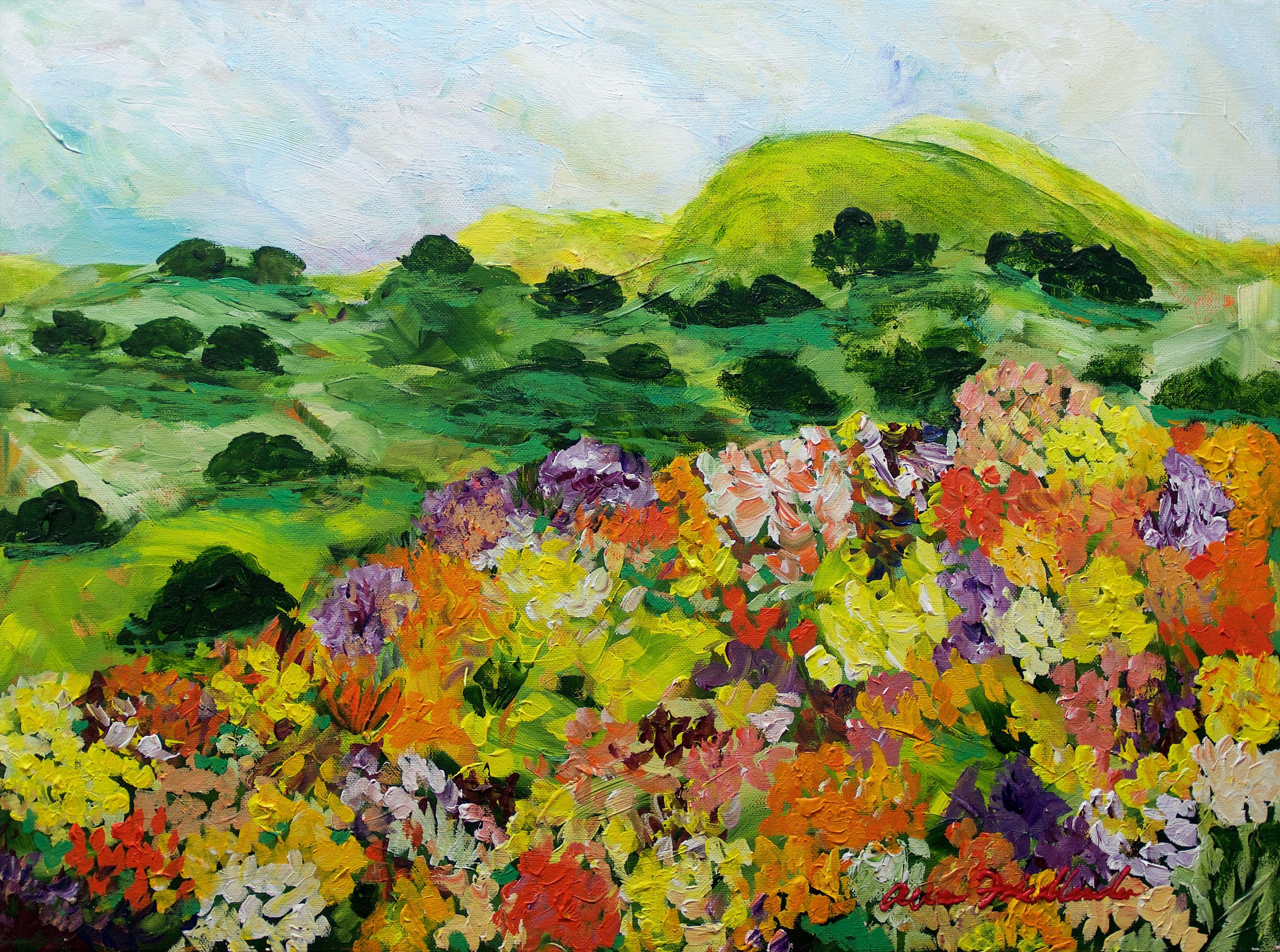 This painting is from the area north of where I live. I am excited by the beauty of the hills and flowers. of Napa, California. It is done on canvas. The edges are painted and the painting is varnished and ready to hang. It is varnished to protect