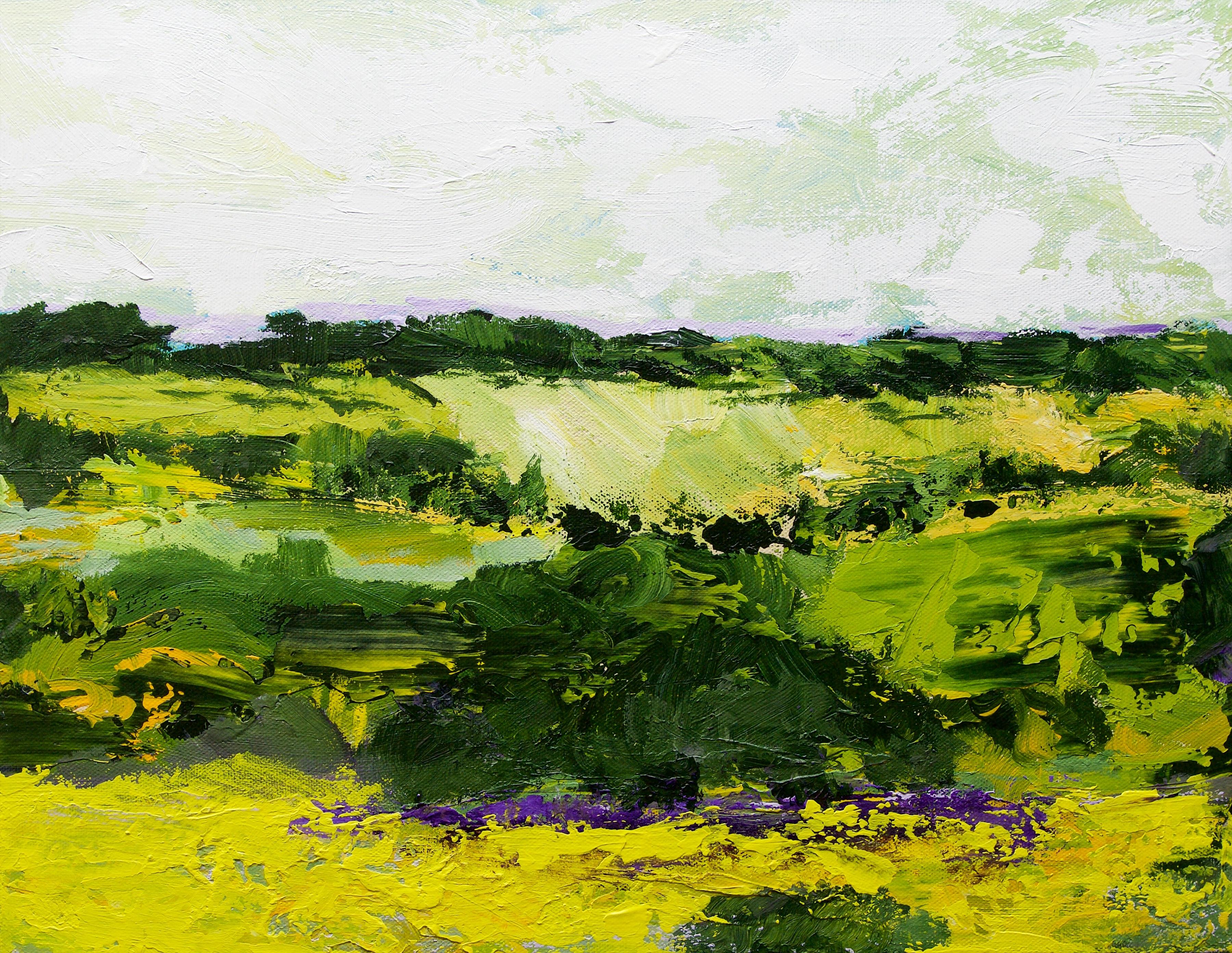 Colina Blanca, Pintura, Acrílico sobre lienzo - Painting de Allan P Friedlander