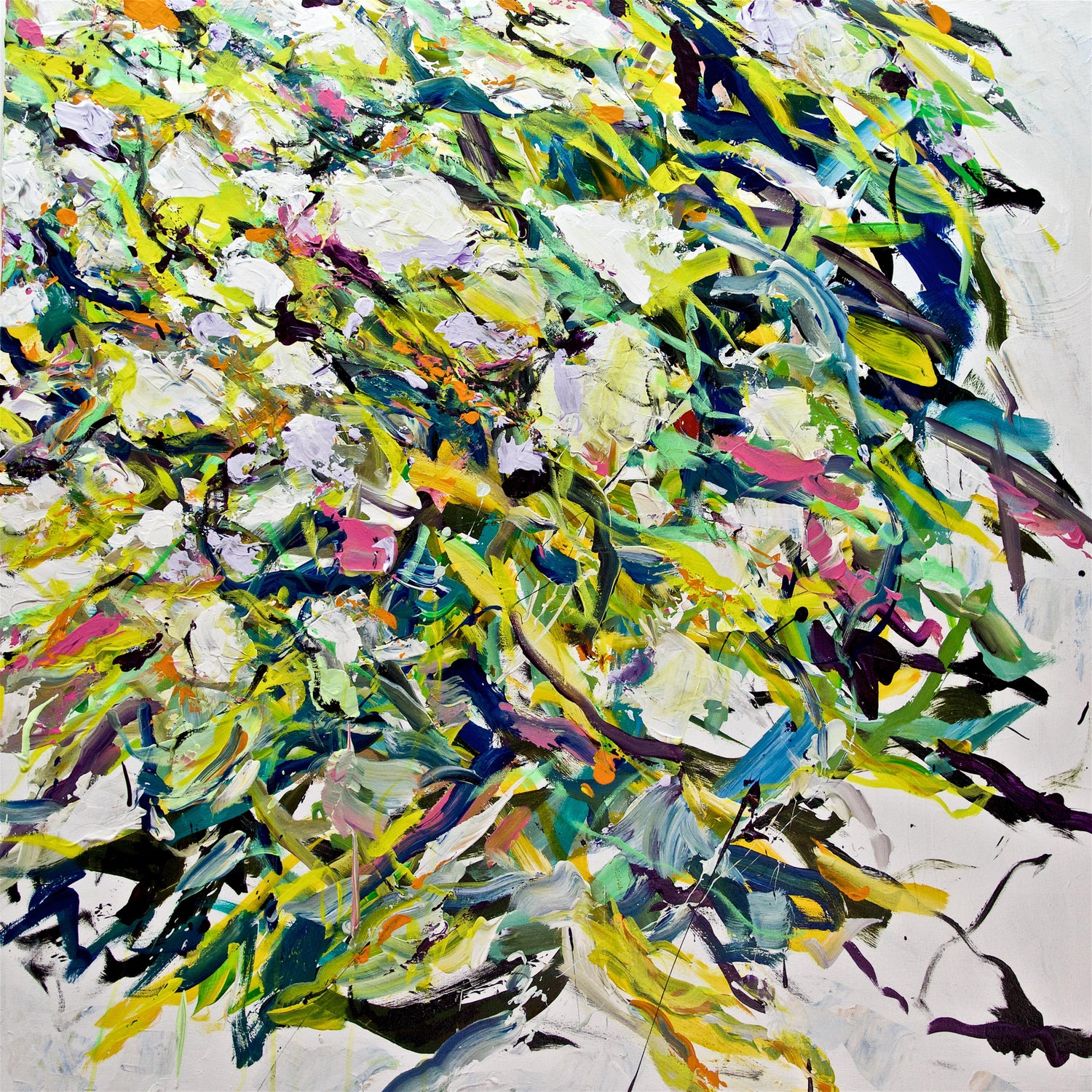 Allan P Friedlander White Flowers Black Roots Abstract