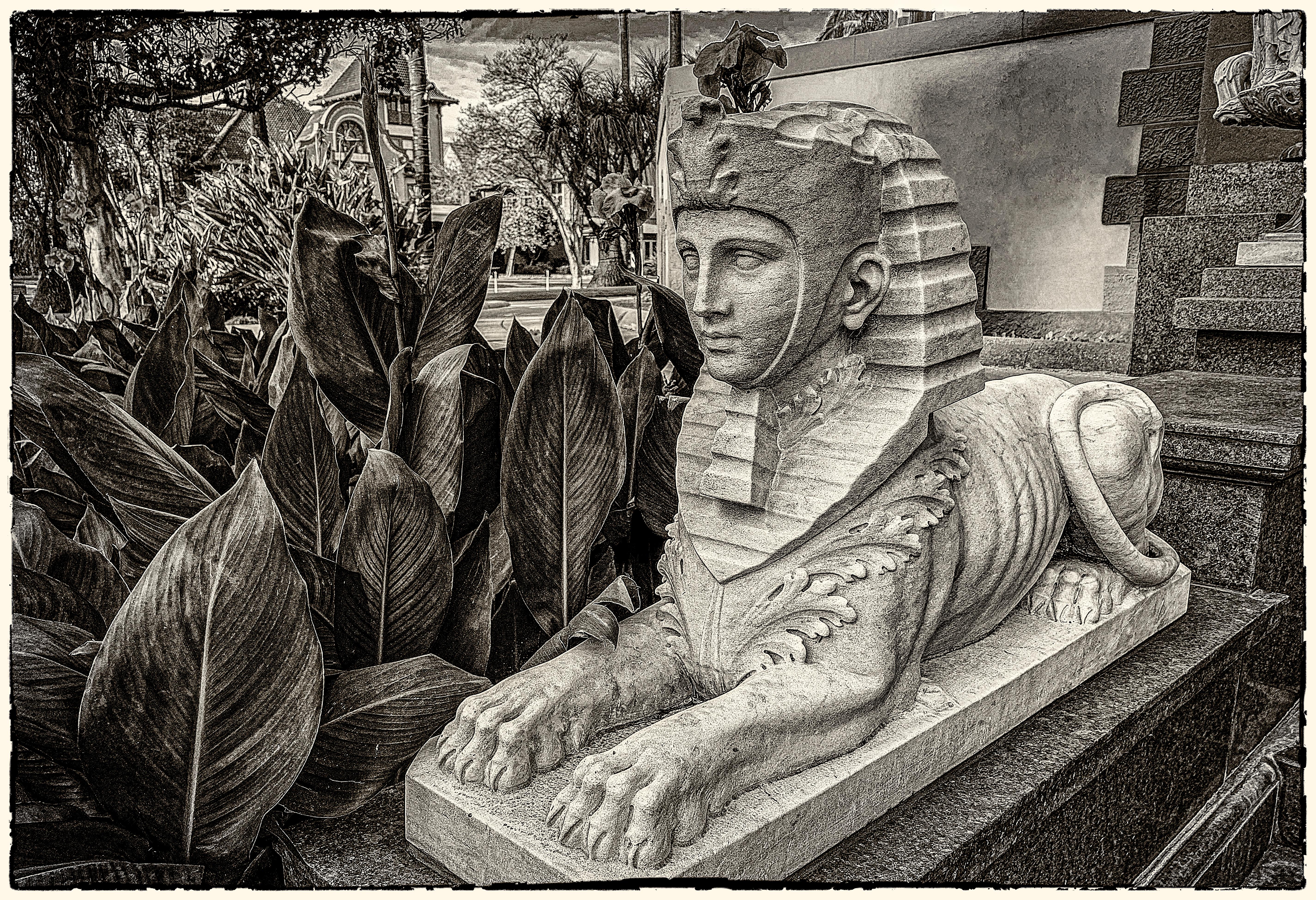 Doheny Sphinx - Print by Allan Peach