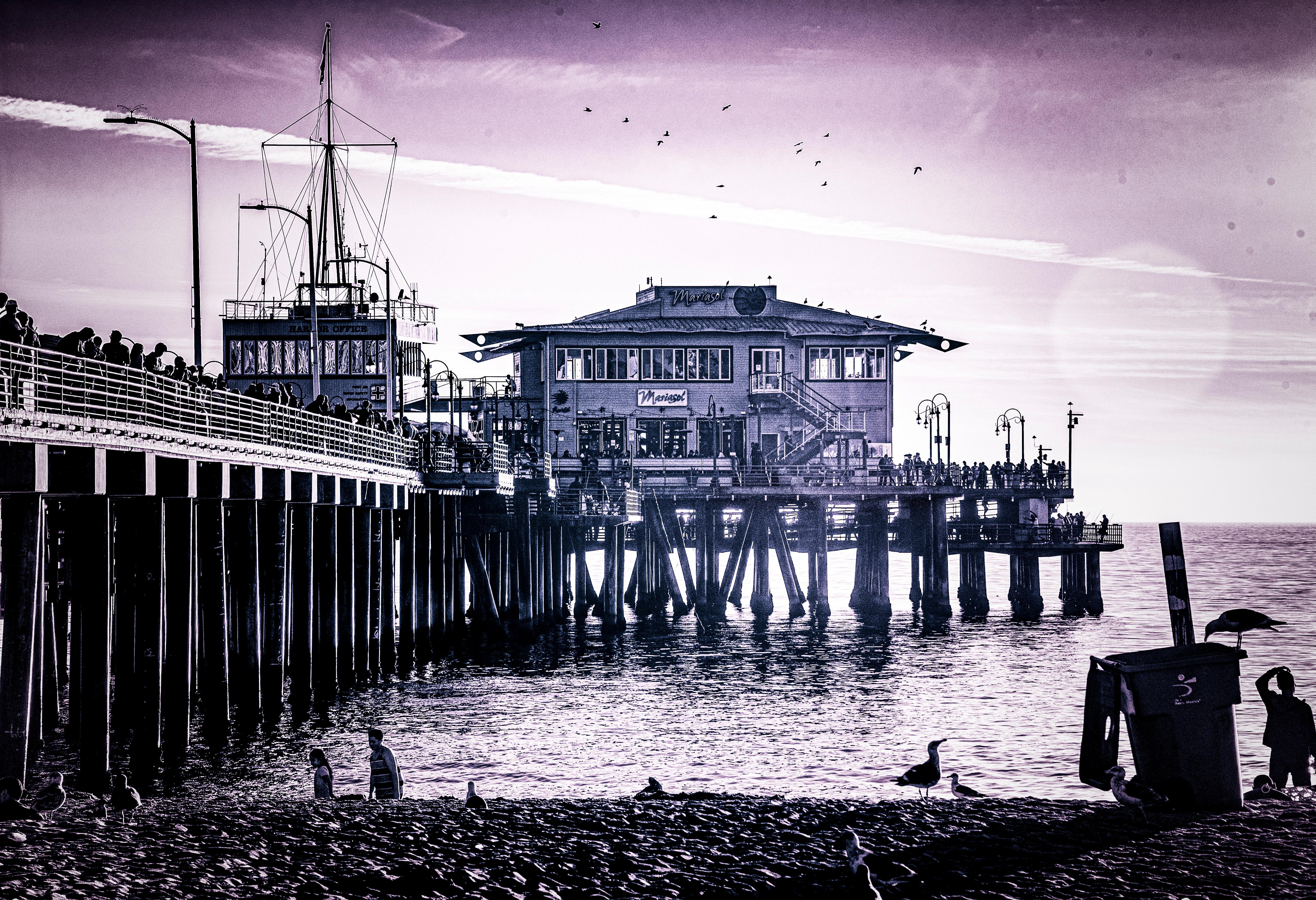 Allan Peach Landscape Print - Santa Monica Pier