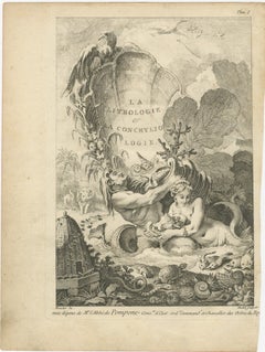 Allegorical Print of Lithology and Conchology by Boucher Fils, 18th Century