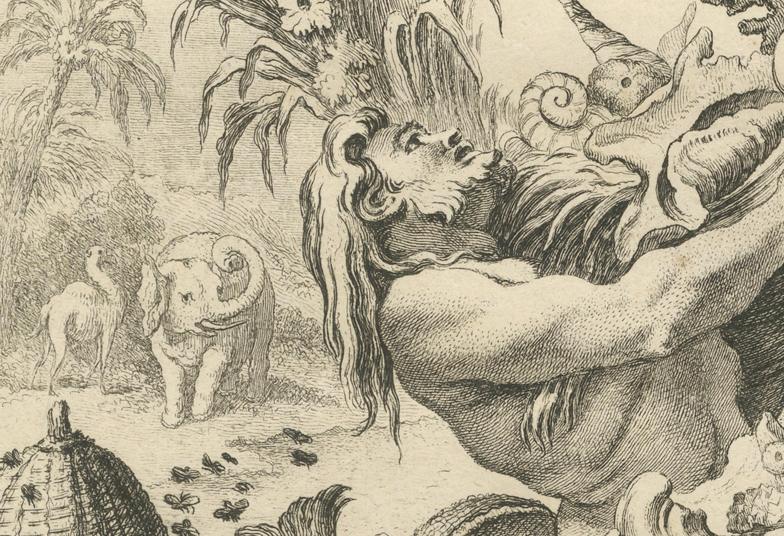 Allegorischer Druck der Lithologie und Conchologie von Boucher Fils, 18. Jahrhundert (Mitte des 18. Jahrhunderts) im Angebot