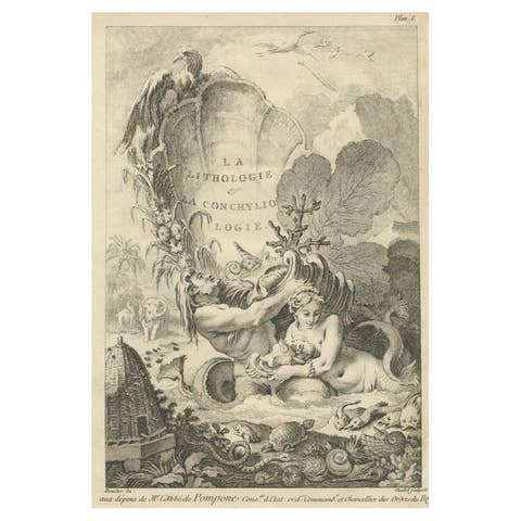 Allegorical Print of Lithology and Conchology by Boucher Fils, 18th Century