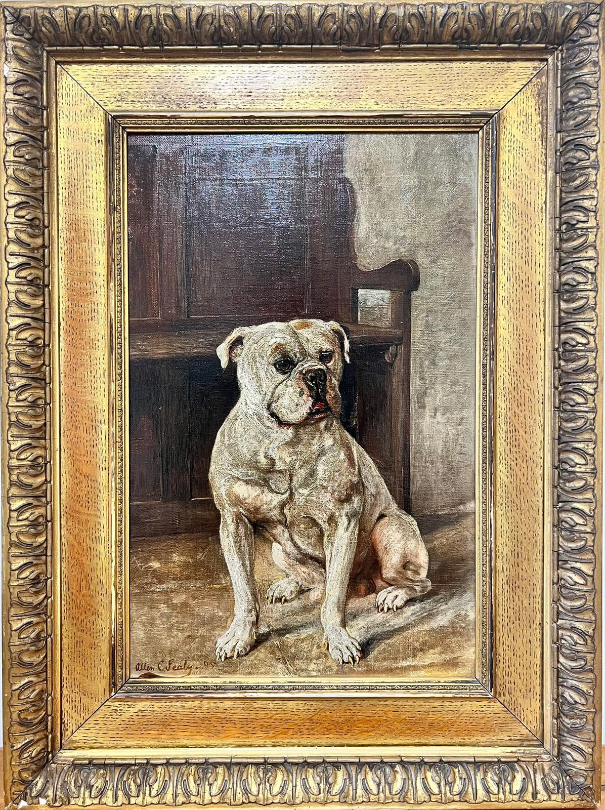 Allen Culpepper Sealy Animal Painting - Antique British Dog Oil Painting Portrait of Staffordshire Terrier/ Bulldog ?