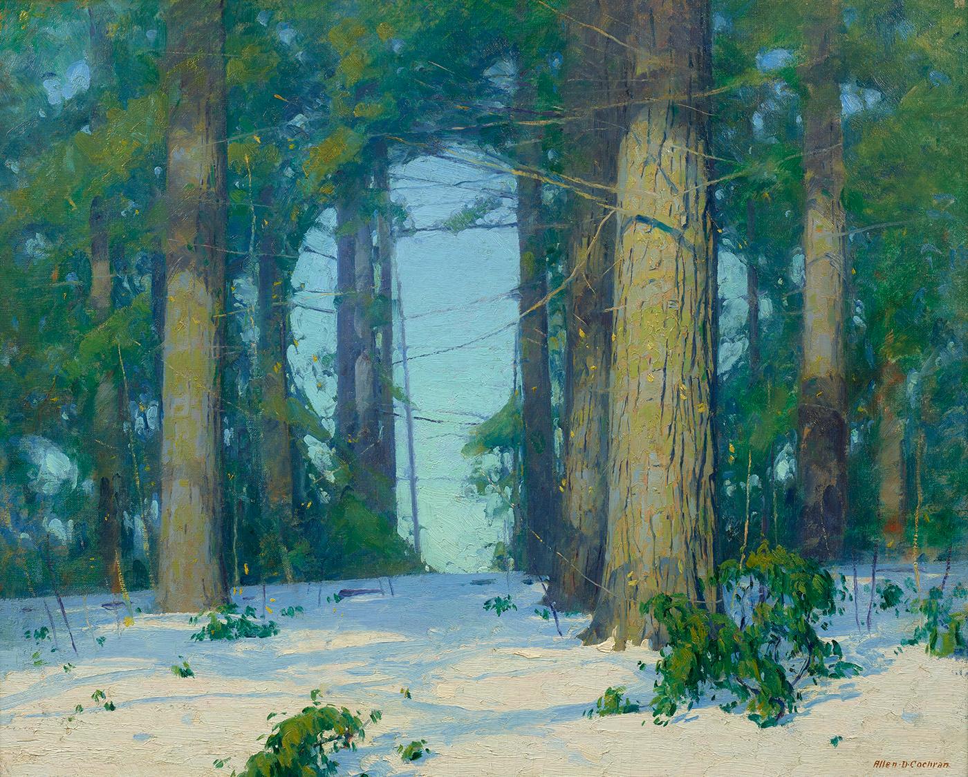 Allen Dean Cochran Landscape Painting - Winter Clearing 