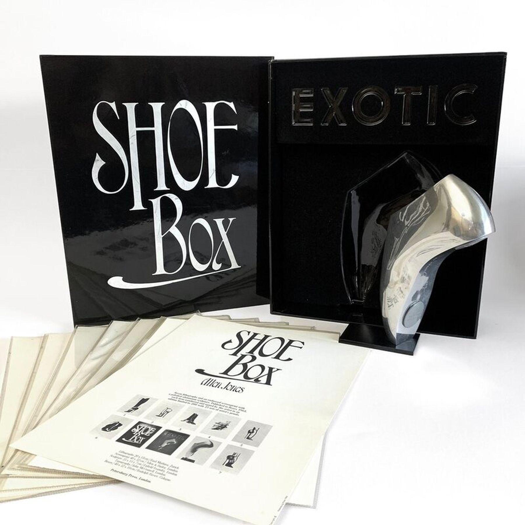Shoe Box By Allen Jones For Sale 2