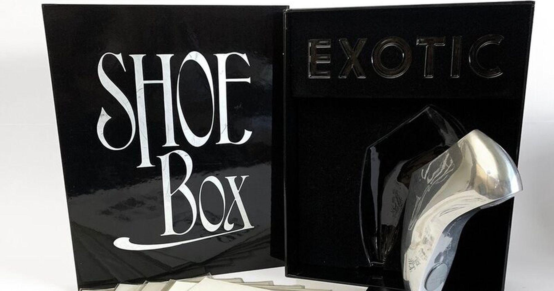 Shoe Box By Allen Jones For Sale 3
