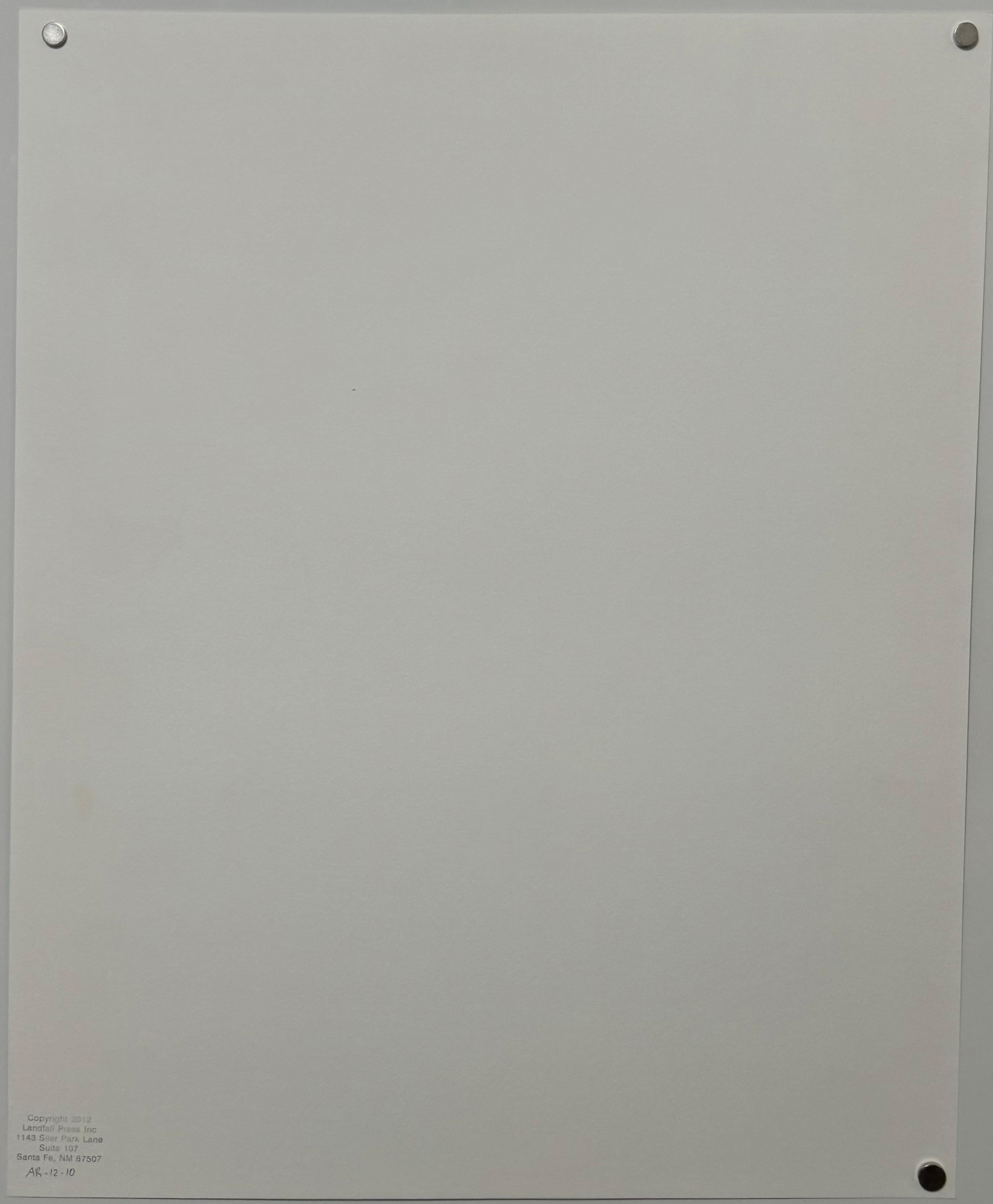 Conceptual Artist Allen Ruppersberg Hand Printed Lithograph Prints & Photographs For Sale 7