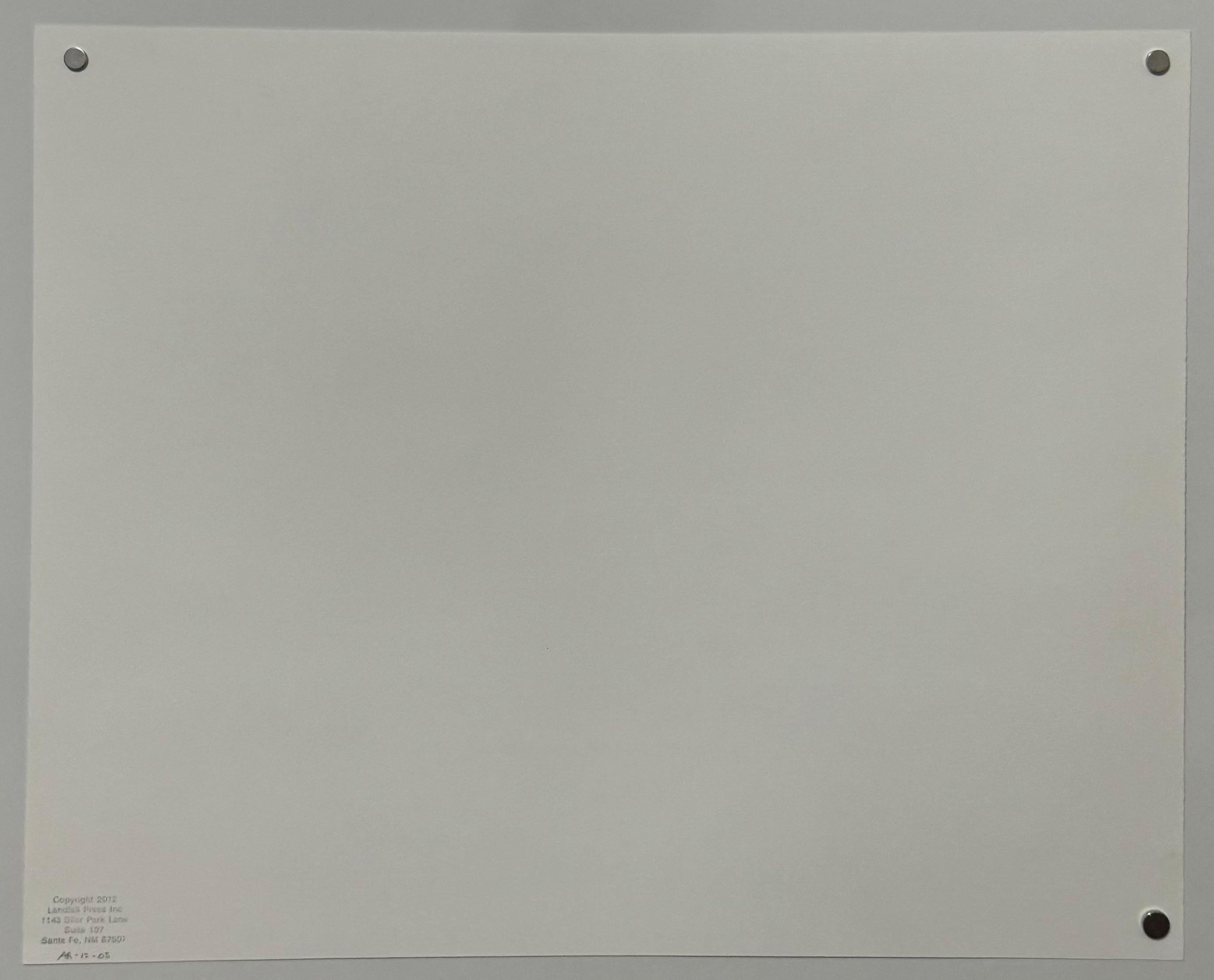 Conceptual Artist Allen Ruppersberg Hand Printed Lithograph Prints & Photographs For Sale 8
