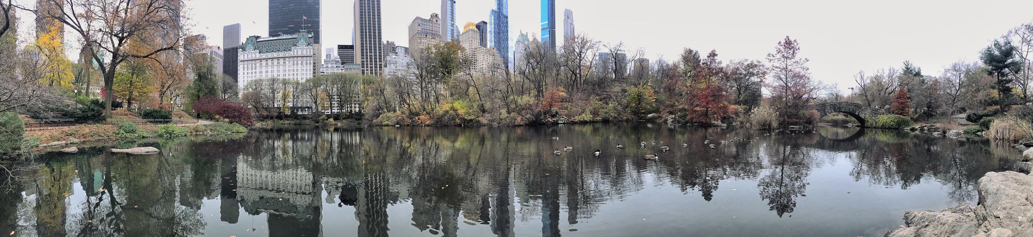 "Der Teich im Central Park, NYC"  Stadtfotografie von Allen Singer
Archivalischer Pigmentdruck auf Kunstdruckpapier für Museen

Auflage von 7
Inklusive Echtheitszertifikat. Vom Künstler signiert und nummeriert.

Druck in Sondergröße auf Anfrage