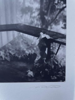 Big Sur Bather, Nude In Outdoor Shower