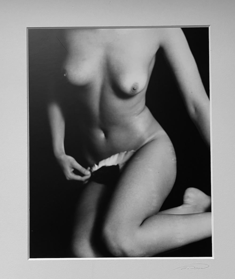 Alli Wood Nude Photograph - Plume (Nude torso with feather)