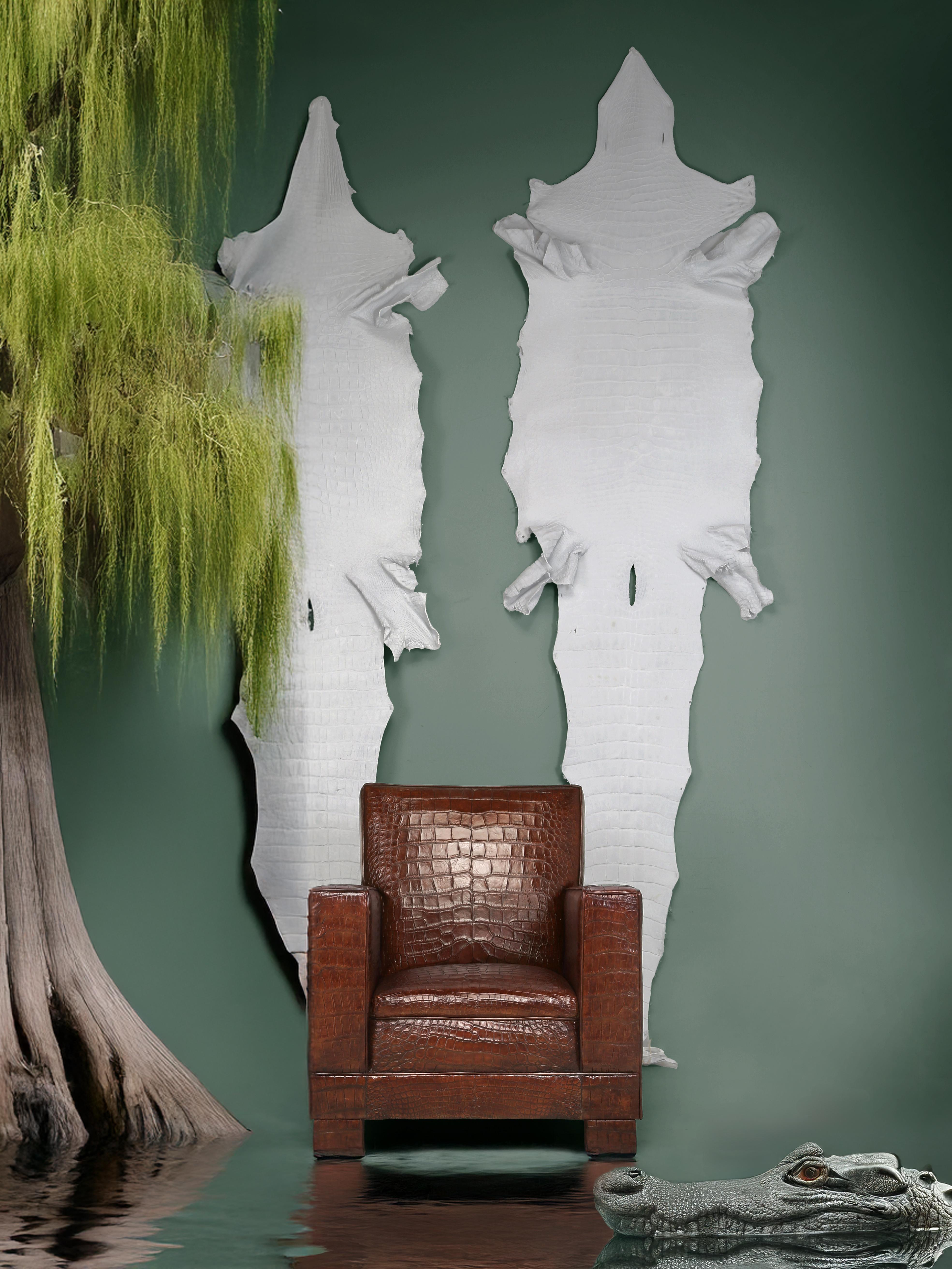 Le sedie da club francesi Alligator hanno ispirato i designer Jean-Michel Frank Jacques Adnet in vendita 11