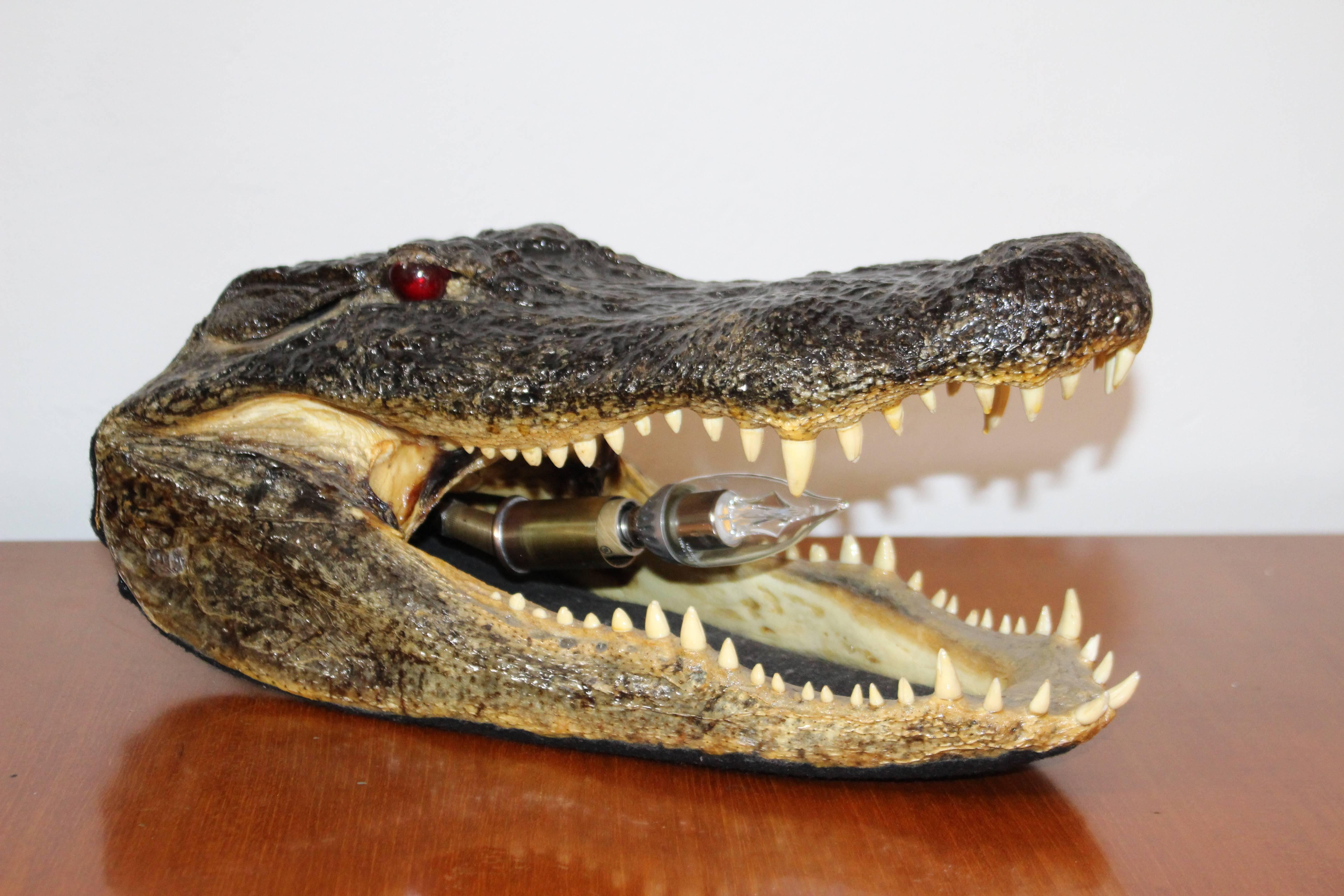 Lámpara de mesa cabeza de cocodrilo en Bueno estado para la venta en Los Angeles, CA