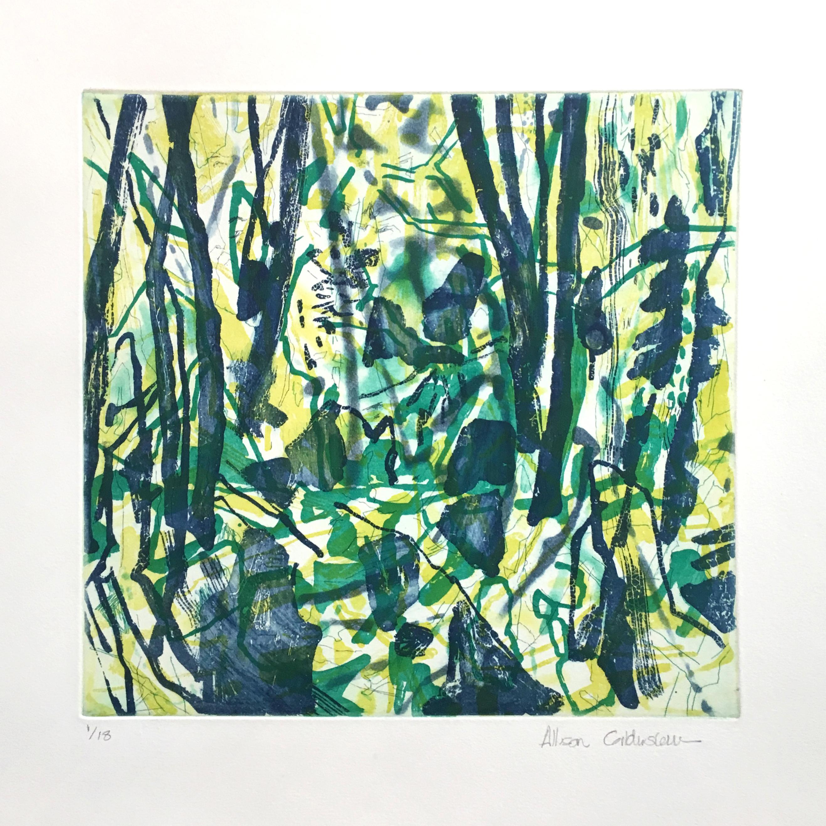 Allison Gildersleeve
Untitled, Green (2017)
Etching on Rives BFK paper
Image size: 12 x 12 inches
Paper: 26 x 19 ½ inches
Edition of 18
Published by Eminence Grise Editions
Printed by Marjorie Van Dyke