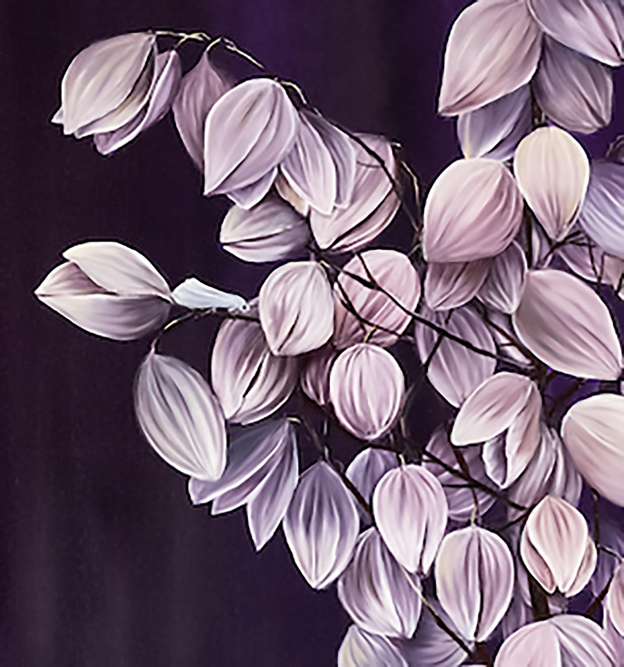 purple yucca