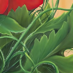 Amapolas de maíz, botánicas, rojas y verdes