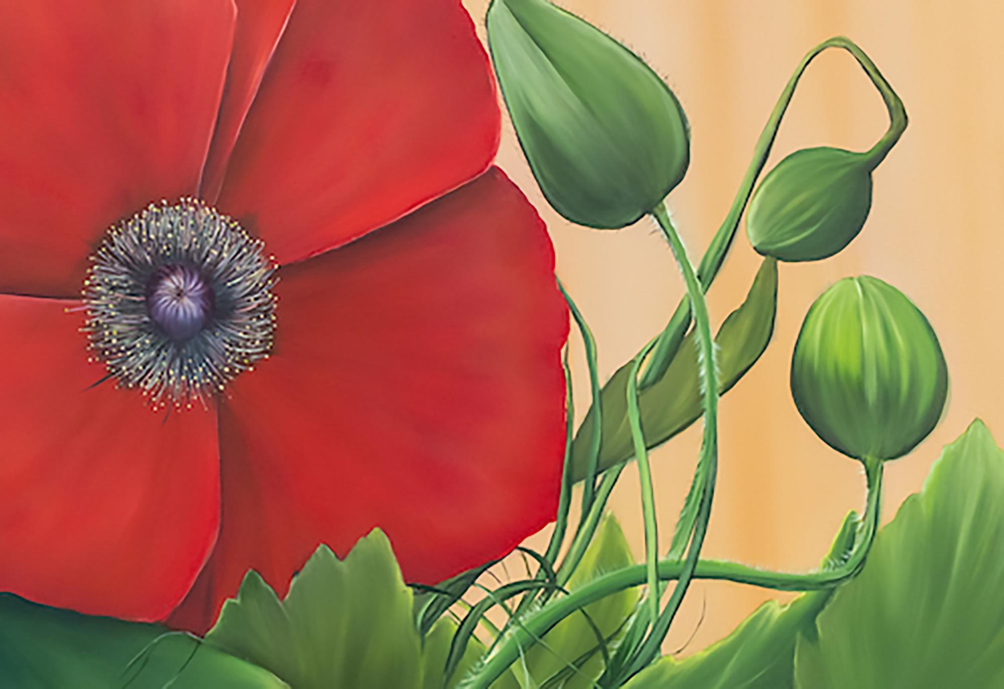 Corn Poppies, botanical, red and green - Contemporary Painting by Allison Green
