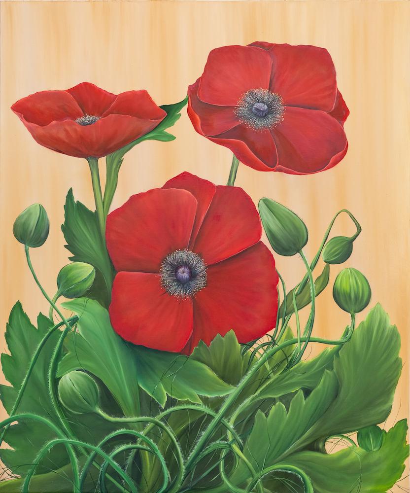 Corn Poppies, botanical, red and green - Painting by Allison Green