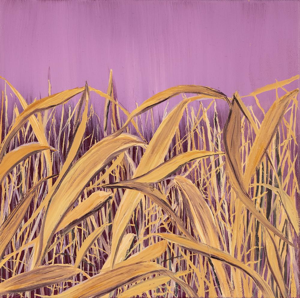 Dune Grass Study, botanical, purple and yellow - Painting by Allison Green