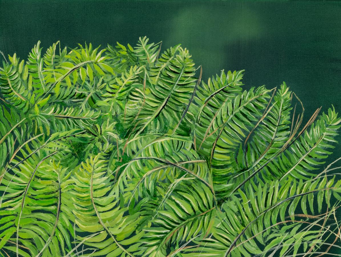 Fern Study, botanical, floral, green plants - Painting by Allison Green