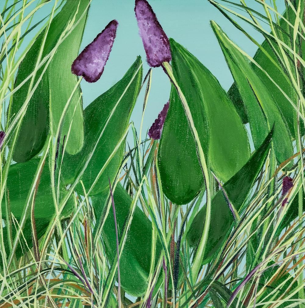Pontederia Dilatata Study, botanical, floral, green and purple - Painting by Allison Green