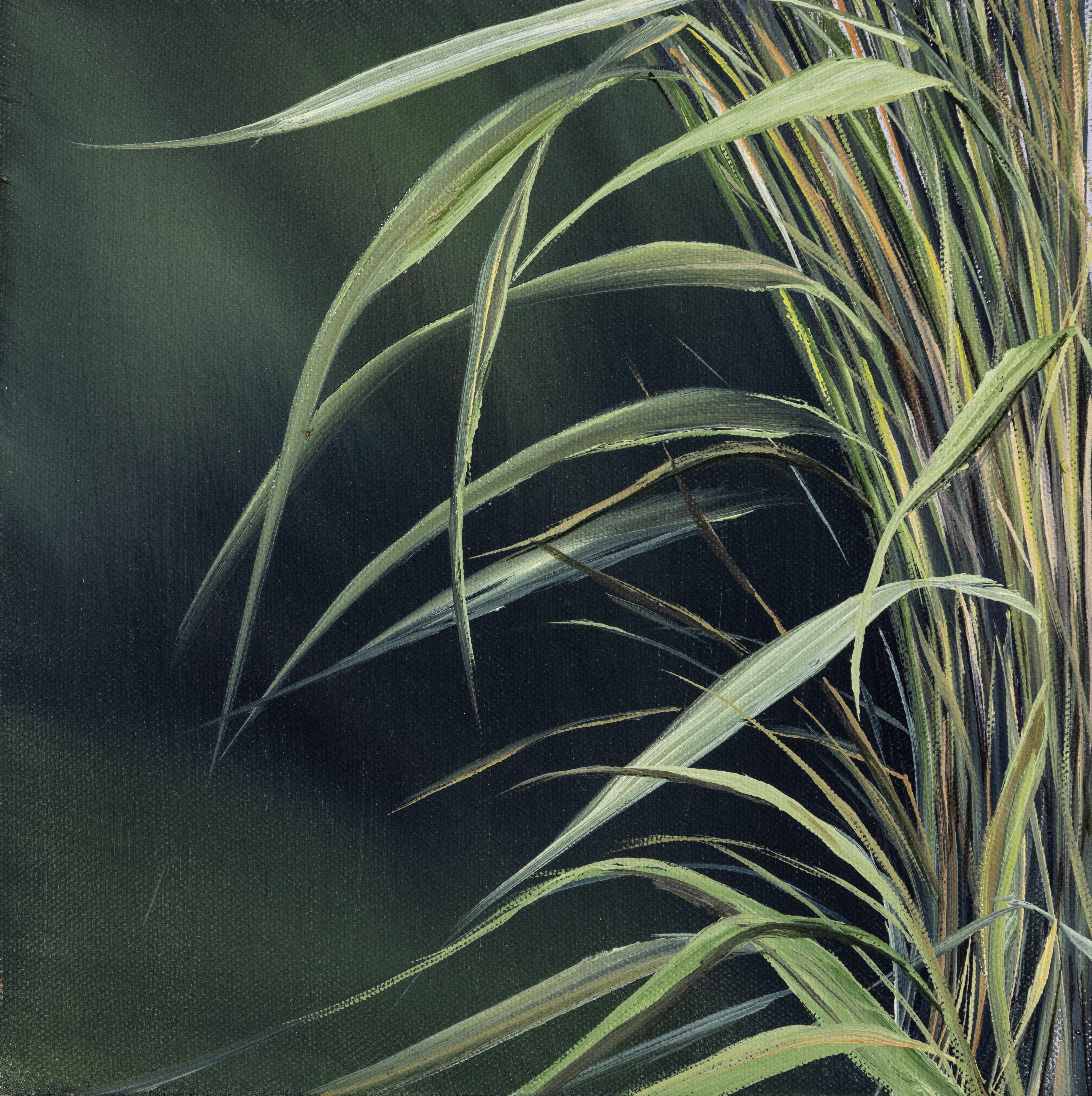 Sea Grass Study, botanical, floral  - Painting by Allison Green