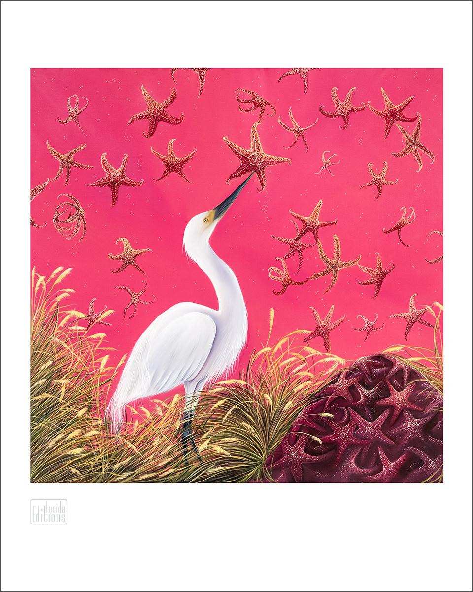 Star Catcher - Print by Allison Green