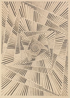 Ciclo 20
