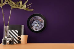 "Reflection: Barred Owl" - Original Oil Painting, Forest Bird Art