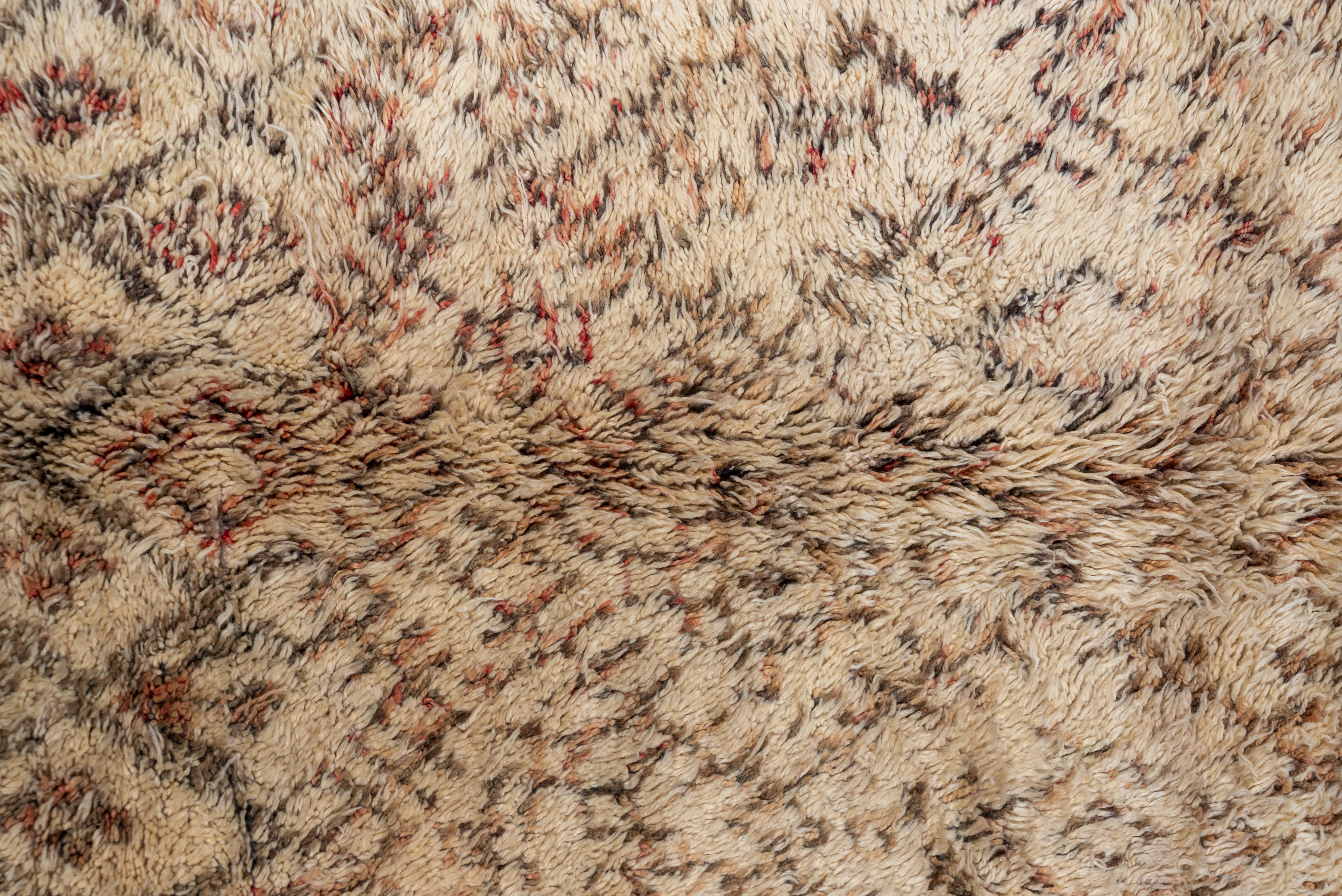 Alfombra Tribal Enrejada - Marruecos Mediados del Siglo XX en Marfil y Oliva en venta 1