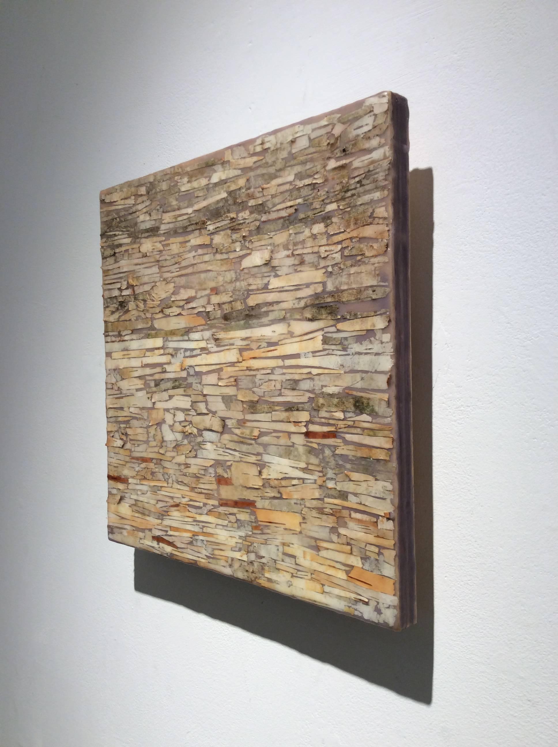 Abstract encaustic painting with assorted neutral toned birch bark on wood panel
12 x 12 x 1.5 inches

This modern abstract encaustic painting by Allyson Levy is made with assorted beige, tan, and sienna orange birch bark encased in a layer of
