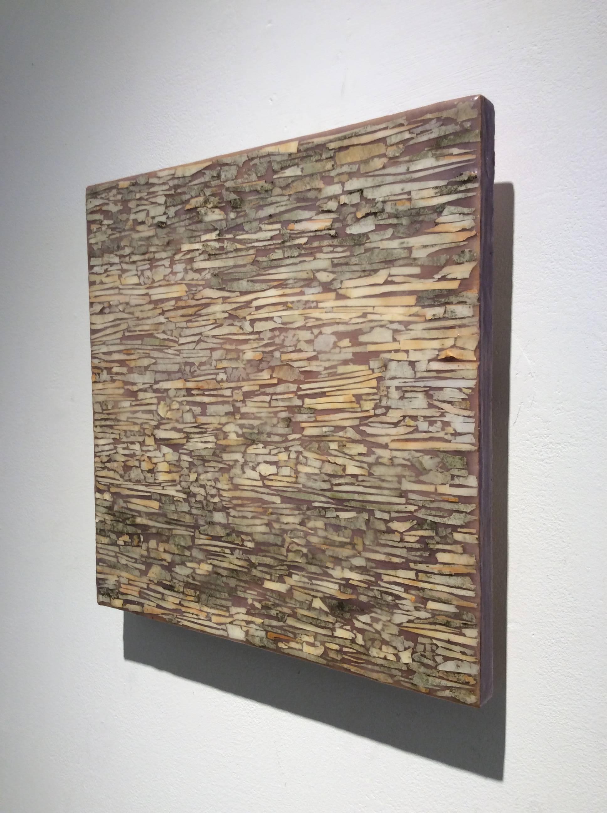 Abstract encaustic painting with assorted neutral toned birch bark on wood panel
12 x 12 x 1.5 inches

This modern abstract encaustic painting by Allyson Levy is made with assorted beige, tan, and sienna orange birch bark encased in a layer of