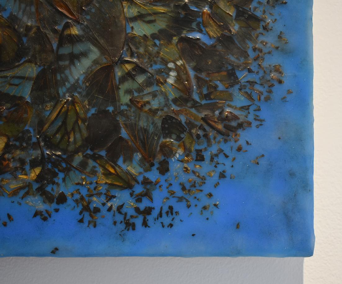 Cacophony 2 (Blue Abstract Motif of Butterfly Wings and Encaustic on Panel) - Contemporary Painting by Allyson Levy