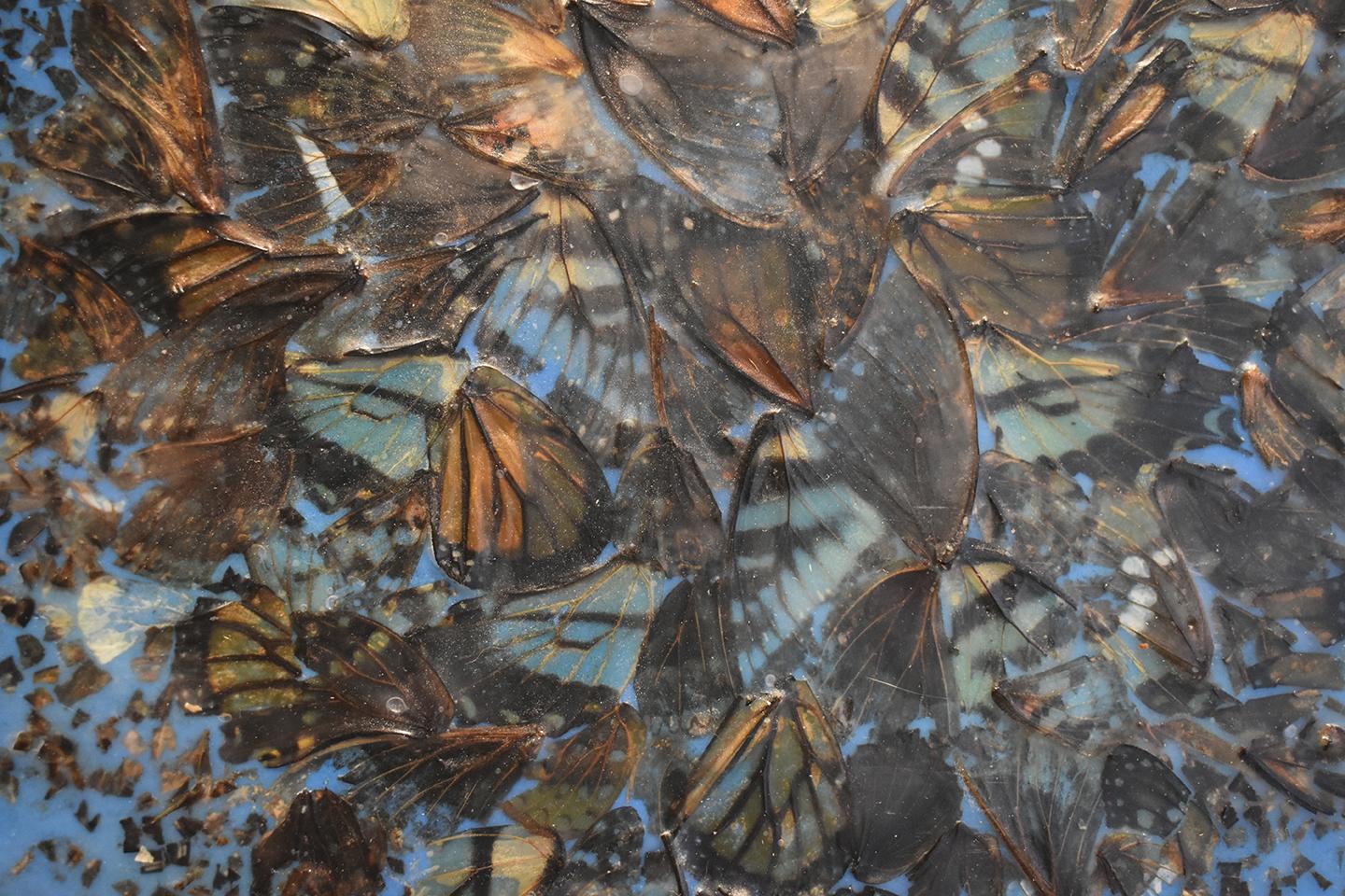 Zeitgenössische abstrakte blaue Enkaustik Malerei auf Tafel mit Schmetterlingsflügeln und natürlichem Material gemacht
Kakophonie 2, 2017
12 x 12 Zoll auf Holzplatte
Schmetterlingsflügel und blaue Enkaustik auf Platte
Hängt an einem D-Ring, bereit