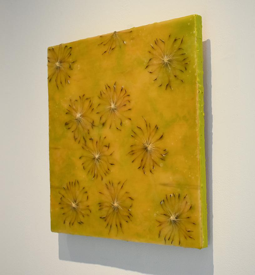 Cynara Shine: Abstraktes ztrongelbes Enkaustikgemälde auf Tafel mit Disteln (Zeitgenössisch), Painting, von Allyson Levy