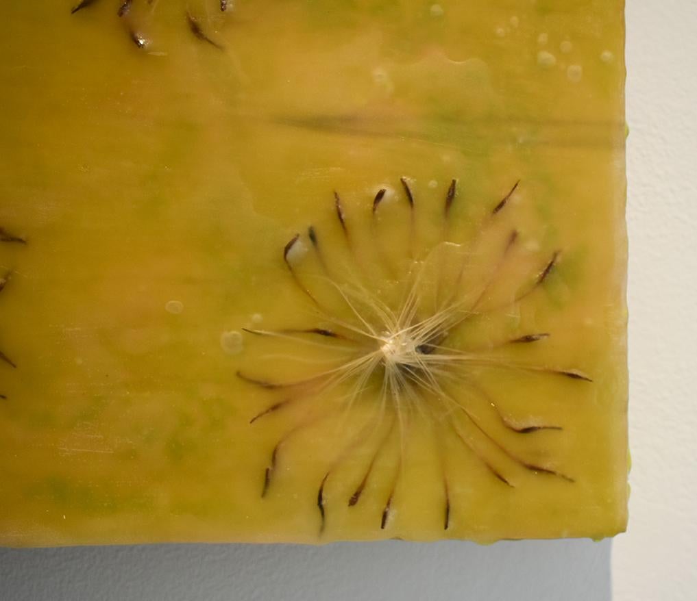 Cynara Shine: Abstraktes ztrongelbes Enkaustikgemälde auf Tafel mit Disteln (Gelb), Abstract Painting, von Allyson Levy