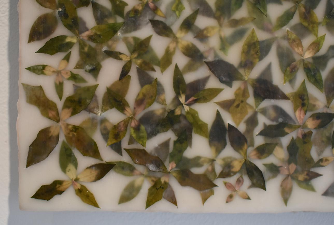 Euphorbic 10: Abstract Encaustic Painting with Organic Green Mixed Material - Brown Abstract Painting by Allyson Levy
