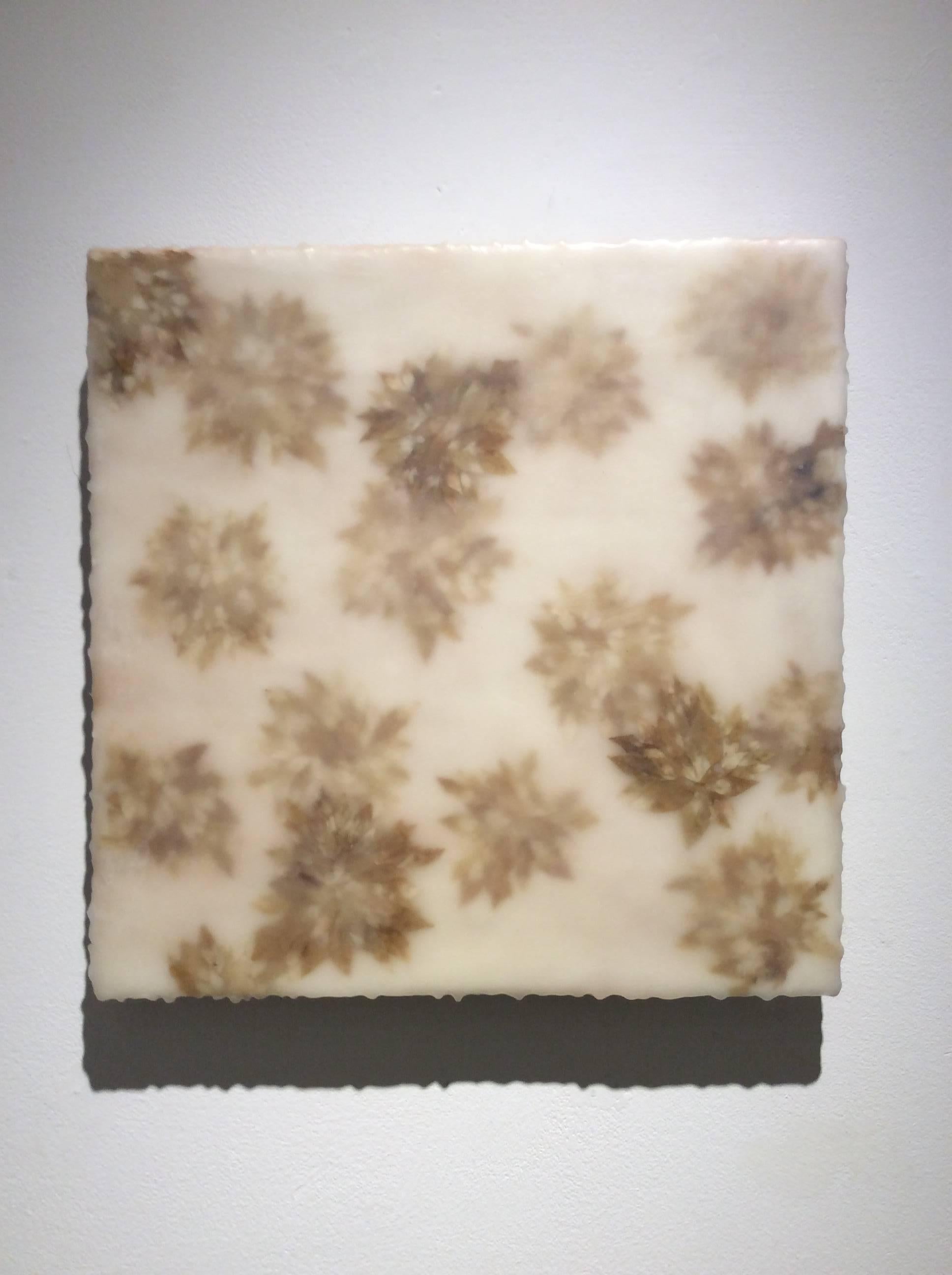 Abstract encaustic painting on wood panel of beige spurge leaves in a decorative arrangement on white
14 x 14 inches 

This modern abstract encaustic painting by Allyson Levy is made with assorted brown and beige spurge leaves encased in encaustic.