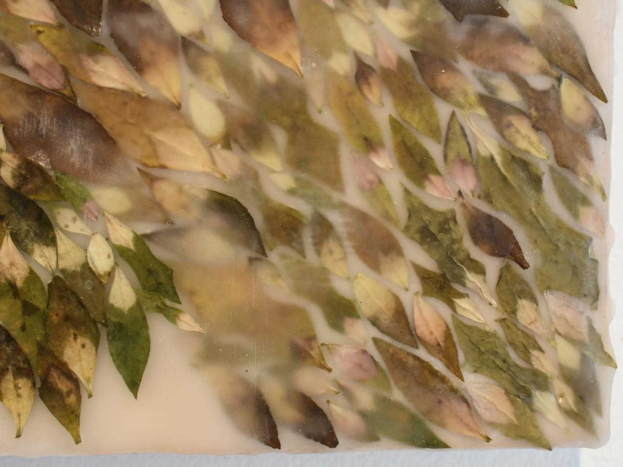 Euphorbic 9: Abstract Encaustic Painting with Organic Green Mixed Material - Brown Abstract Painting by Allyson Levy