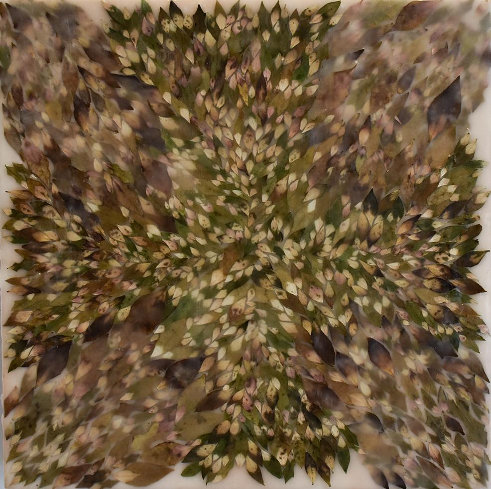 Euphorbic 9 (Abstract Encaustic Painting with Spurge Leaves & Neutral Palette) 