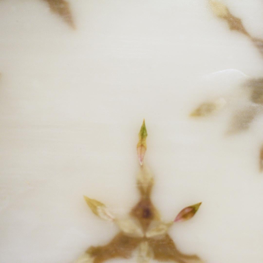 Fiori di neve 8: pittura astratta a encausto di petali verdi su sfondo beige - Abstract Painting Beige di Allyson Levy