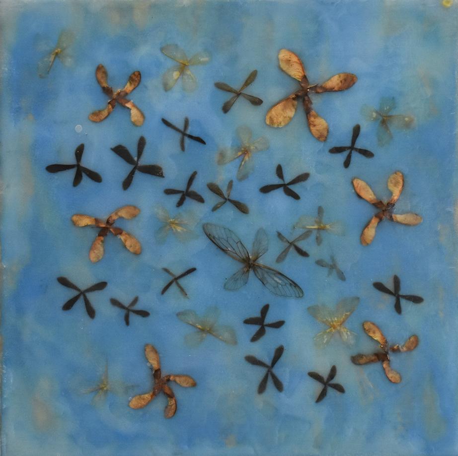 Allyson Levy Abstract Painting - Wings and Maple: Abstract Blue Encaustic Painting with Natural Mixed Material 