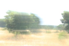 It Makes Sense, Landscape Fine Art Photography, Framed in Plexiglass, Signed