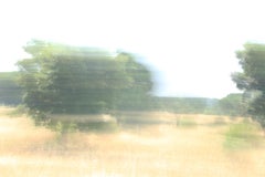 It Makes Sense, Landschafts-Fotografie, gerahmt in Plexiglas, signiert 