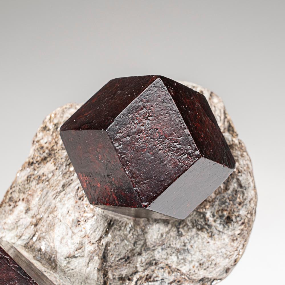 From Ötztal, Tyrol, Austria

Two dodecahedral translucent brown almandine garnet crystals in foliated greenish schist. The schist was carefully worked to expose the almandine garnet crystals and the garnet is showing dodecahedral form with a waxy